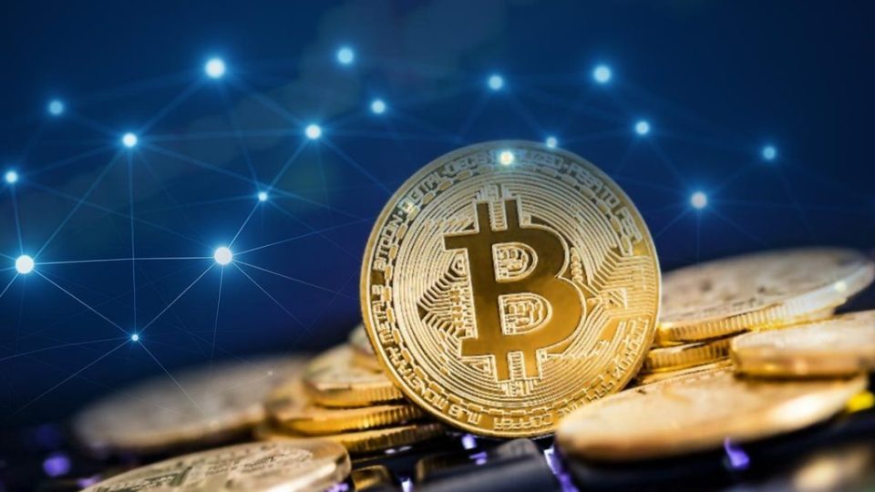 Blockchain Network: Transparency and Security
