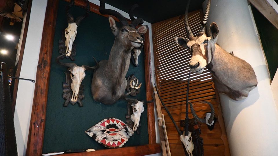 Hunter Pub
